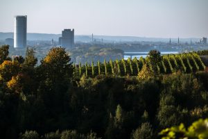 SchnellesBad Deutschland Bonn: Umbau Wanne zur Dusche, Badmodernisierung vom Bad Fachbetrieb