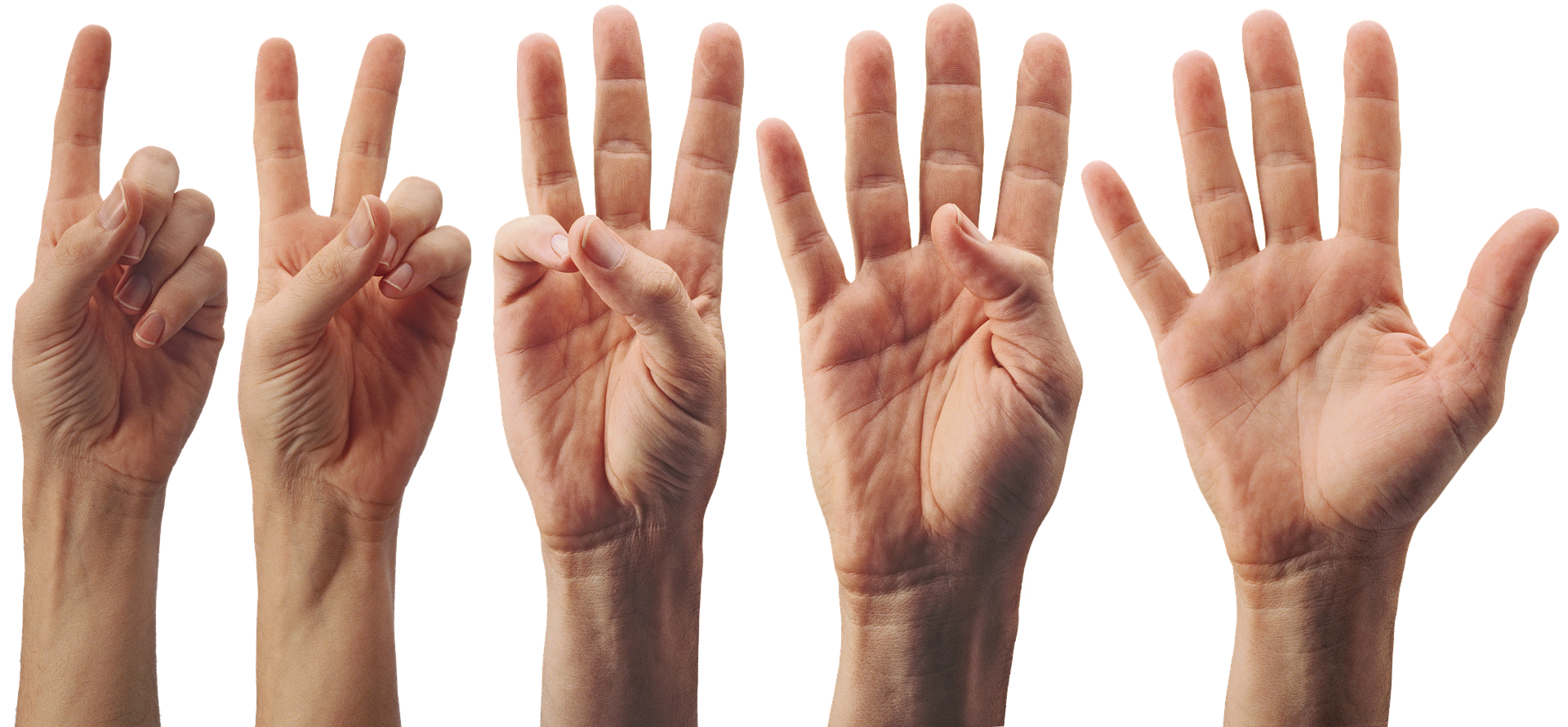 Hände die ein bis fünf Finger zeigen, symbolisch für die fünf Pflegegrade